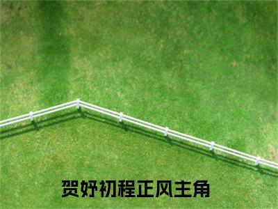 2023年精选好书（贺妤初程正风），贺妤初程正风全文无删减版在线阅读
