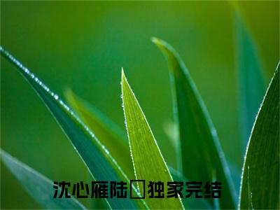 沈心雁陆璟免费阅读最新章节列表_笔趣阁