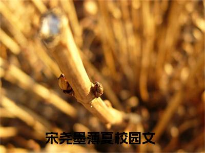 宋尧墨薄夏（宋尧墨薄夏）全文免费阅读无弹窗_宋尧墨薄夏最新小说_笔趣阁（宋尧墨薄夏）
