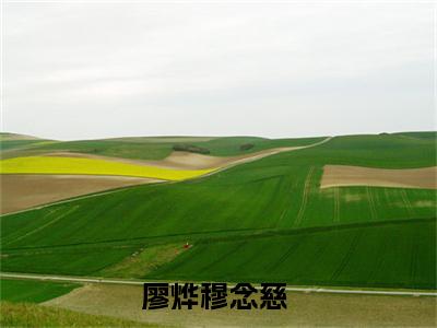 廖烨穆念慈是什么小说-（廖烨穆念慈）小说全文阅读