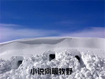 向暖牧野免费小说-向暖牧野已更新最新章节