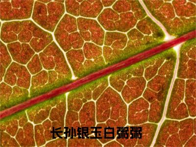 长孙银玉白粥粥小说全文(长孙银玉白粥粥)免费阅读全文无弹窗大结局_ 长孙银玉白粥粥免费阅读无弹窗小说_笔趣阁