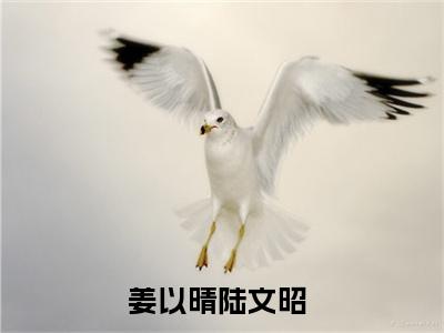 热文（姜以晴陆文昭）美文阅读_热门小说主人公是（姜以晴陆文昭）最新章节限时观看_笔趣阁