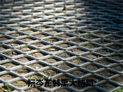 阮岑芷韩禹无弹窗热文（阮岑芷韩禹）在线阅读-阮岑芷韩禹小说在哪里可以看