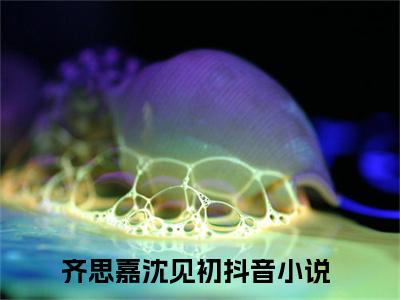 齐思嘉沈见初全文免费阅读_（齐思嘉沈见初免费阅读无弹窗）齐思嘉沈见初最新章节在线阅读