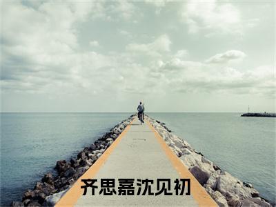齐思嘉沈见初（齐思嘉沈见初）全文免费阅读无弹窗大结局_（齐思嘉沈见初）齐思嘉沈见初最新章节列表_笔趣阁（齐思嘉沈见初）