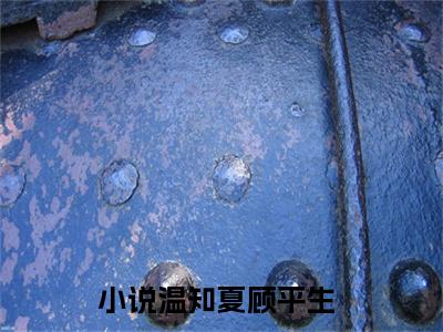 温知夏顾平生多人追免费无弹窗小说,温知夏顾平生已完结全集大结局
