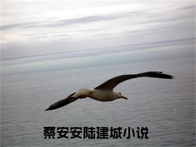 《八零军嫂，硬汉老公不离婚》蔡安安陆建城(热推新书)-抖音热推蔡安安陆建城无弹窗阅读
