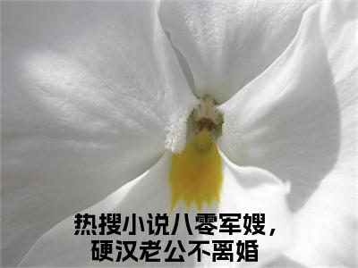 八零军嫂，硬汉老公不离婚（蔡安安陆建城）小说全文免费阅读无弹窗-八零军嫂，硬汉老公不离婚小说全文免费阅读大结局笔趣阁