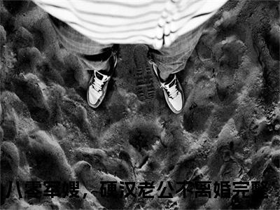 蔡安安陆建城满分热推小说 -八零军嫂，硬汉老公不离婚蔡安安陆建城小说全本已完结
