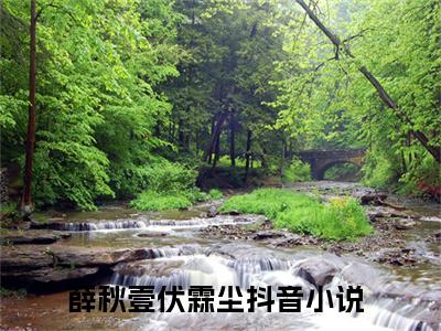 薛秋壹伏霖尘经典小说无广告小说免费阅读 薛秋壹伏霖尘全章节免费阅读