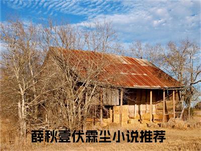 薛秋壹伏霖尘小说在线阅读（薛秋壹伏霖尘）全文免费阅读无弹窗大结局_薛秋壹伏霖尘小说免费最新章节列表_笔趣阁（薛秋壹伏霖尘）