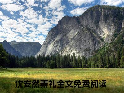 沈安然秦礼知乎最新章节-沈安然秦礼全文在线阅读无弹窗