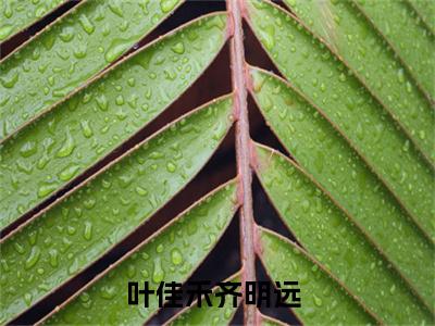 叶佳禾齐明远（叶佳禾齐明远）全文免费阅读无弹窗大结局_(叶佳禾齐明远小说免费阅读)最新章节_笔趣阁（叶佳禾齐明远）