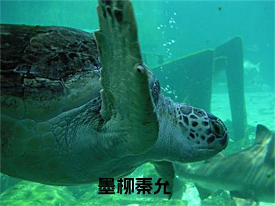 墨柳秦允（墨柳秦允）全文免费墨柳秦允读无弹窗大结局_(墨柳秦允）免费墨柳秦允读全文最新章节列表_笔趣阁（墨柳秦允）