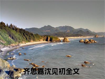 齐思嘉沈见初全网首发完整小说主角齐思嘉沈见初在线阅读