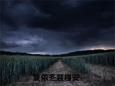 夏依冬裴槿安免费小说 夏依冬裴槿安在线阅读免费大结局