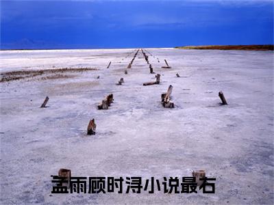 孟雨顾时浔全集小说完整版大结局_孟雨顾时浔完结版在线阅读