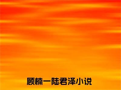 让所有美好都留在旧时光里（顾楠一陆君泽）在哪免费看-让所有美好都留在旧时光里小说（顾楠一陆君泽）全文完整版免费阅读