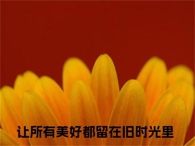 顾楠一陆君泽(让所有美好都留在旧时光里)全文免费阅读无弹窗大结局_(顾楠一陆君泽)让所有美好都留在旧时光里全文免费完结版阅读