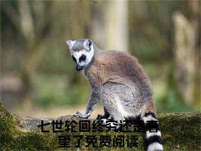 经典小说白落幽晏寒笙无广告小说免费阅读 七世轮回终究还是奢望了全章节免费阅读