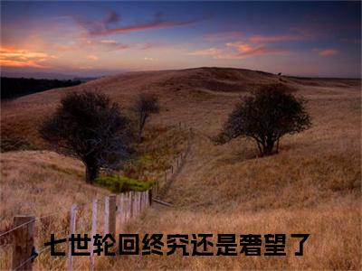 七世轮回终究还是奢望了免费小说（白落幽晏寒笙）全文无弹窗阅读 七世轮回终究还是奢望了大结局免费阅读无弹窗
