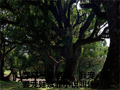 顾星熠夏汐瑶全文免费阅读无弹窗大结局_ (穿成家暴男后，我宠妻宠娃赎罪)顾星熠夏汐瑶热门章节在线阅读笔趣阁（穿成家暴男后，我宠妻宠娃赎罪）