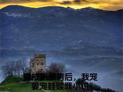 顾星熠夏汐瑶无广告小说（穿成家暴男后，我宠妻宠娃赎罪）全文免费阅读无弹窗大结局-顾星熠夏汐瑶在线阅读