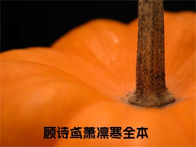 顾诗鸢萧凛寒无删减（顾诗鸢萧凛寒）全文免费阅读无弹窗大结局_顾诗鸢萧凛寒最新章节列表（顾诗鸢萧凛寒）