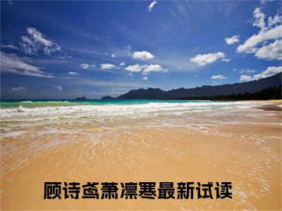 顾诗鸢萧凛寒（顾诗鸢萧凛寒）小说在线阅读_顾诗鸢萧凛寒免费阅读笔趣阁（顾诗鸢萧凛寒）