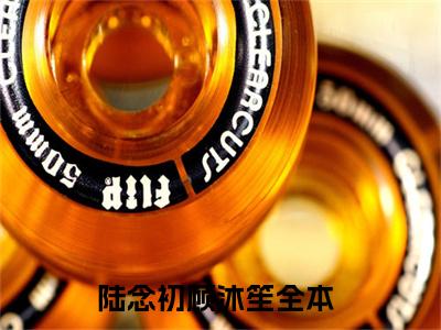 陆念初顾沐笙（陆念初顾沐笙）是什么小说-（陆念初顾沐笙）无弹窗免费阅读大结局最新章节列表_笔趣阁