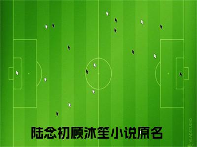 陆念初顾沐笙小说免费大结局陆念初顾沐笙里全文免费阅读