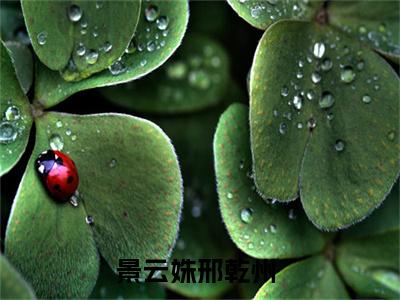 景云姝邢乾州全文(景云姝邢乾州)小说免费阅读无弹窗大结局_ 景云姝邢乾州全文无弹窗完整版阅读