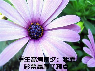 重生高考前夕：我靠彩票赢麻了林夏（重生高考前夕：我靠彩票赢麻了林夏小说）全文免费阅读无弹窗大结局_(重生高考前夕：我靠彩票赢麻了林夏小说免费阅读)最新章节列表