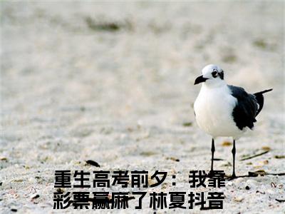 重生高考前夕：我靠彩票赢麻了林夏免费阅读无弹窗大结局，重生高考前夕：我靠彩票赢麻了林夏（最新全章节）全文阅读免费阅读-笔趣阁