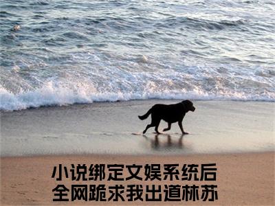 绑定文娱系统后全网跪求我出道林苏（绑定文娱系统后全网跪求我出道林苏txt）全文免费阅读无弹窗大结局_绑定文娱系统后全网跪求我出道林苏最新章节列表_笔趣阁（绑定文娱系统后全网跪求我出道林苏txt）