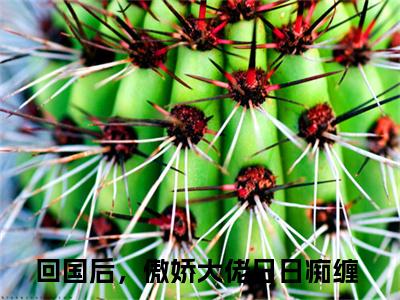 阮想周景维(回国后，傲娇大佬日日痴缠)全文阅读无弹窗大结局_阮想周景维免费阅读无弹窗最新章节列表