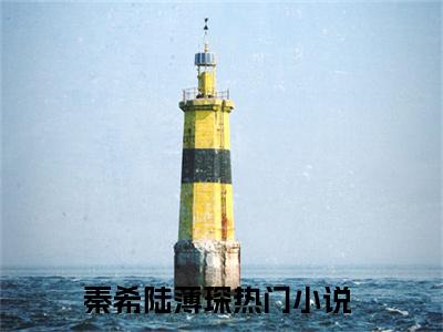 秦希陆薄琛阅读无弹窗大结局_（秦希陆薄琛阅读无弹窗）最新章节列表_笔趣阁（秦希陆薄琛）