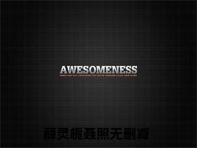 《薛灵栀聂照》薛灵栀聂照（大结局小说全集完整版）薛灵栀聂照小说_全文阅读笔趣阁