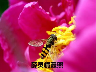 薛灵栀聂照（薛灵栀聂照）全文免费阅读无弹窗_薛灵栀聂照小说免费阅读_笔趣阁