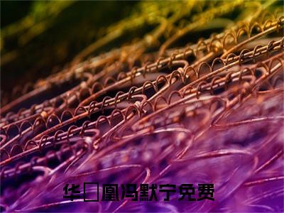 华玥凰冯默宁长篇小说免费阅读-小说最新试读