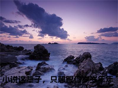 这辈子，只想跟你岁岁年年 戴婉婉靳言司小说全文免费阅读_这辈子，只想跟你岁岁年年 （戴婉婉靳言司）最新章节列表笔趣阁