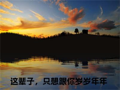 这辈子，只想跟你岁岁年年最新章节（戴婉婉靳言司小说）全文免费阅读无弹窗大结局_戴婉婉靳言司小说免费阅读（这辈子，只想跟你岁岁年年）