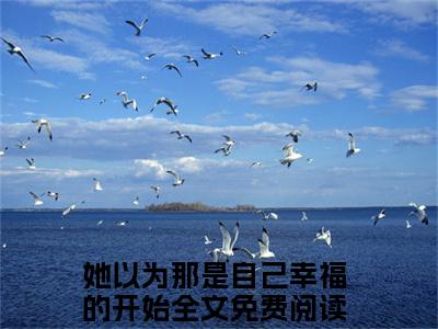 她以为那是自己幸福的开始全文免费阅读无弹窗大结局_(姚轻语孟清彦阅读全文大结局)她以为那是自己幸福的开始最新章节列表（姚轻语孟清彦）