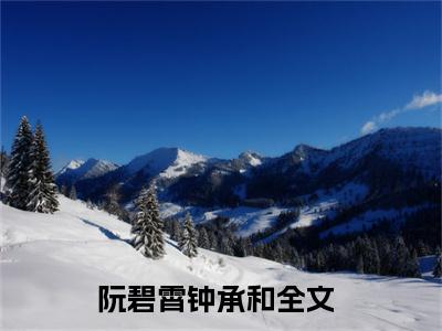 此生终独宿，到死誓相寻（阮碧霄钟承和大结局小说全集完整版）_（阮碧霄钟承和小说）此生终独宿，到死誓相寻全文阅读笔趣阁