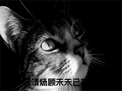 裴靖炀顾未未（裴靖炀顾未未）小说完整版阅读-小说裴靖炀顾未未全文免费阅读