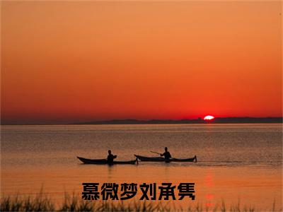 （慕微梦刘承隽）原来自己就是他们爱情中的笑话小说小说全文免费原来自己就是他们爱情中的笑话读最新章节列表笔趣阁（慕微梦刘承隽）
