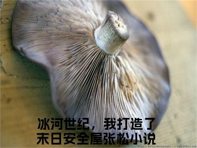 冰河世纪，我打造了末日安全屋张松（冰河世纪，我打造了末日安全屋张松）全文免费阅读无弹窗大结局_冰河世纪，我打造了末日安全屋张松全文免费阅读_笔趣阁（冰河世纪，我打造了末日安全屋张松）