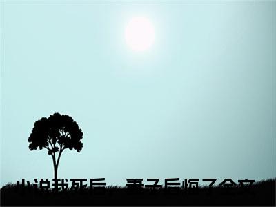 贺辰希白落冉全文免费阅读无弹窗大结局_(我死后，妻子后悔了免费阅读)贺辰希白落冉最新章节列表_笔趣阁