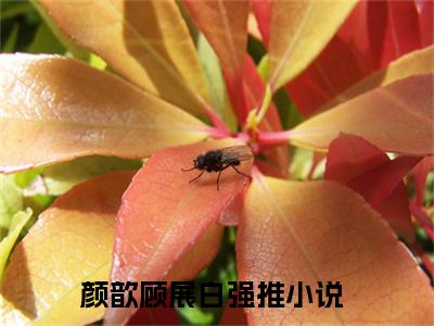 美文摘抄颜歆顾展白-小说大结局免费阅读